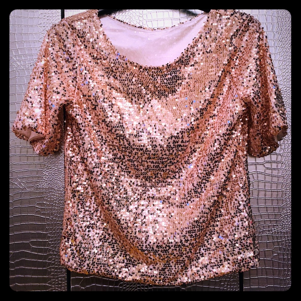 Nude Sequin Crew Neck 3/4 Sleeves NWOT M
